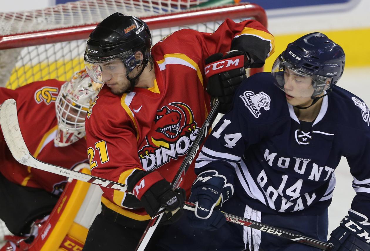 冰球- Athletic Consultants Asia